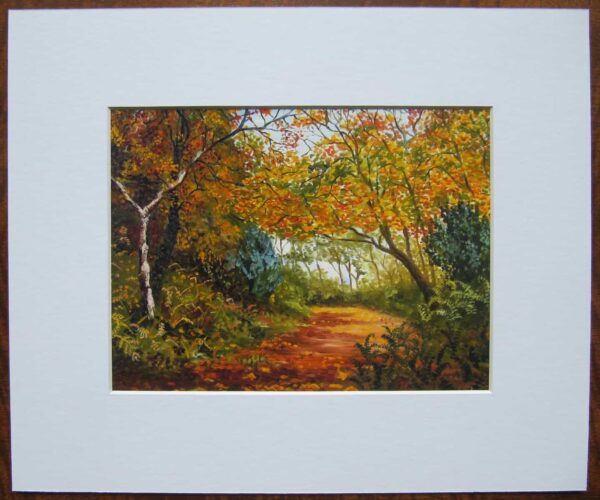 Autumn Woods Print Mounted