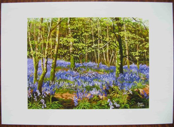 Bluebell Wood Print