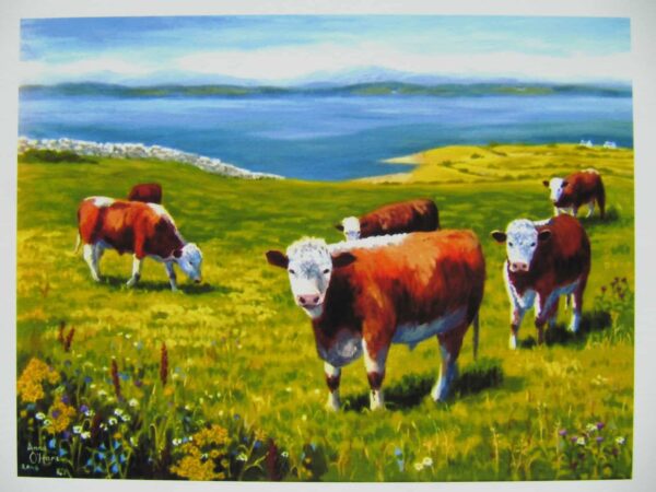 Cattle Grazing by the Sea Print Closeup