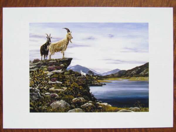 Print of Goats over Killarney Lake - Image 3