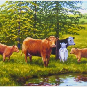 Keeping an Eye on the Calves Print Closeup