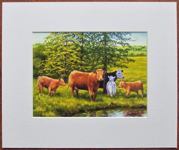 Keeping an Eye on the Calves Print Mounted