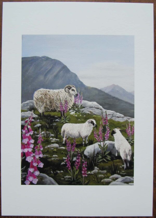 Lambs & Foxgloves Print