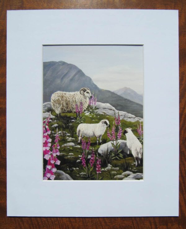 Lambs & Foxgloves Print Mounted