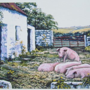 Pigs in the Sunshine Closeup