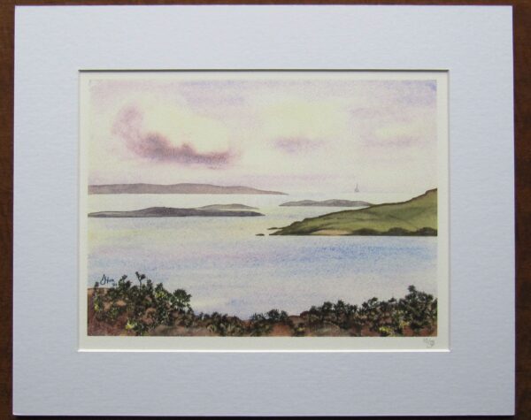 Roaring Water Bay Print Mounted