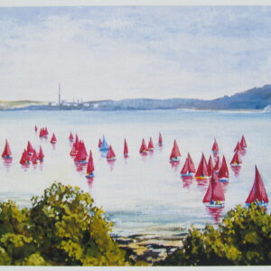 Sailboats in Cork Harbour Closeup