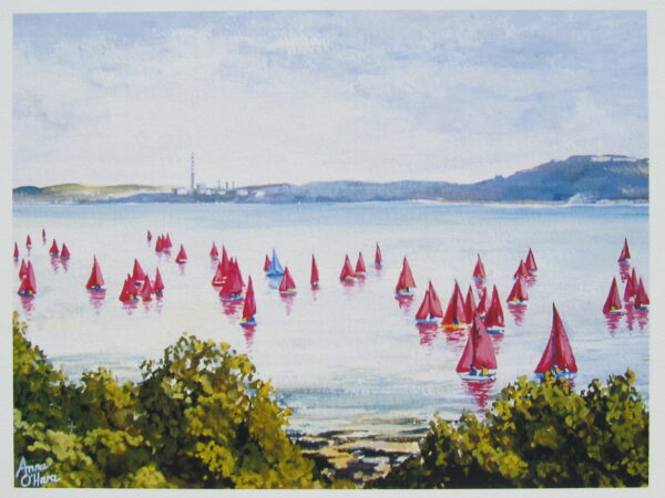 Sailboats in Cork Harbour Closeup