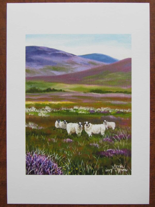 Sheep amongst the Heathers Print