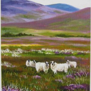 Sheep amongst the Heathers Print Closeup