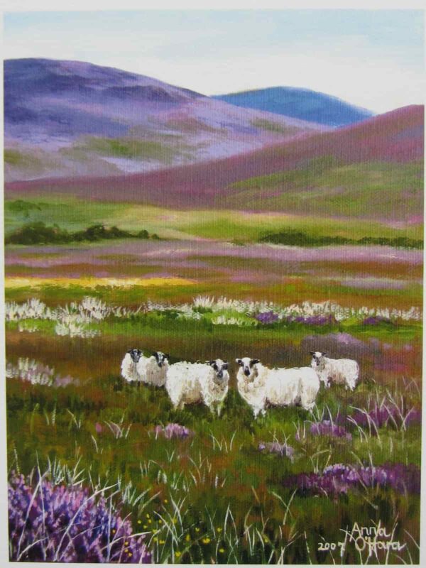 Sheep amongst the Heathers Print Closeup