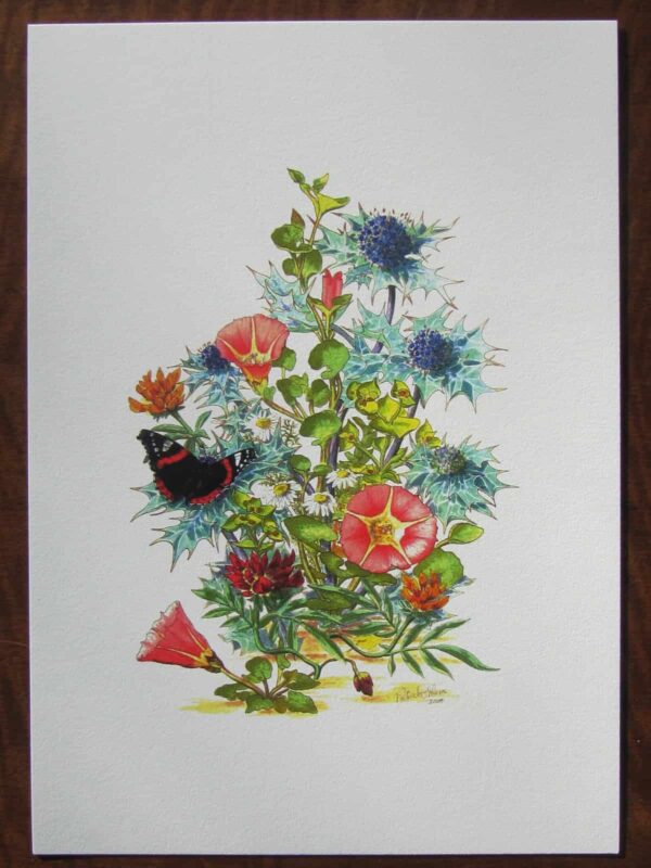 West Cork Beach Flowers Print