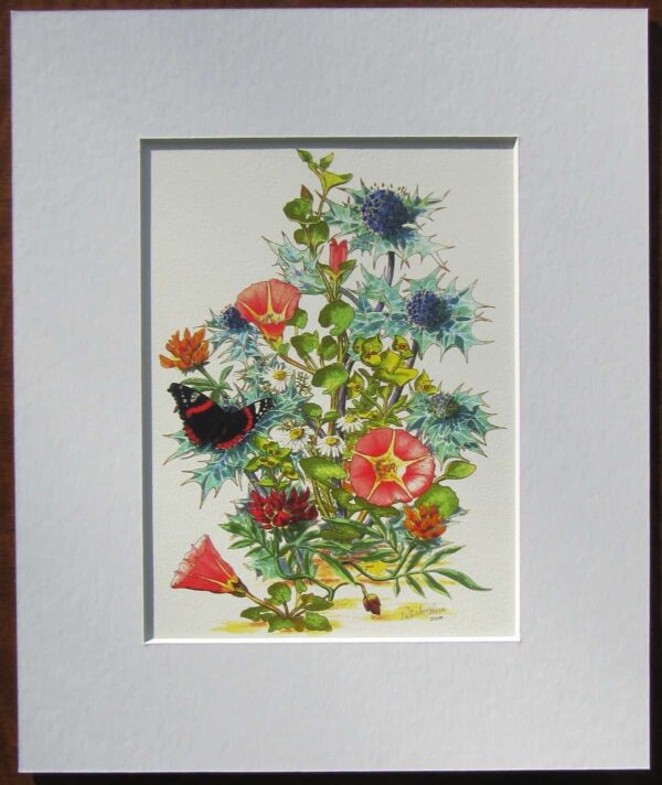 West Cork Beach Flowers Print Mounted