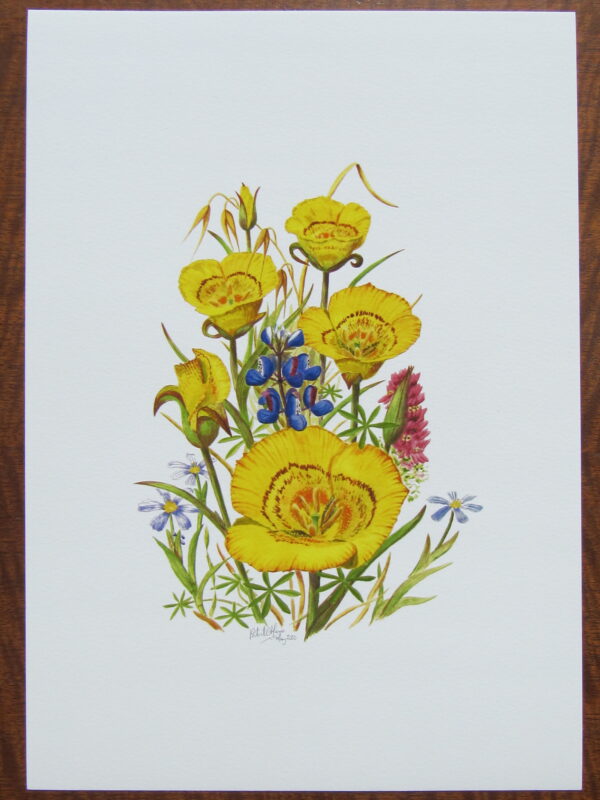 Print of Yellow Mariposa Lilies - Image 3